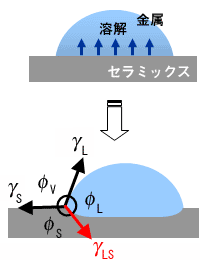 �]���̑���@